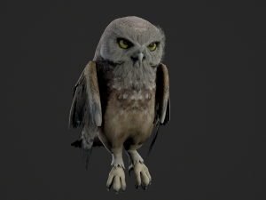 Animated owl Modello 3D