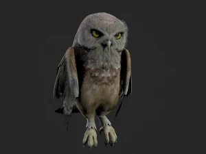 Animated owl 3D Model