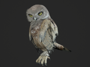 Animated owl Modello 3D
