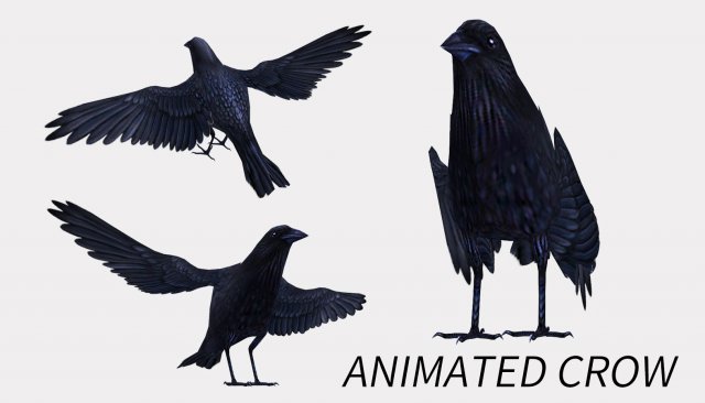 Animated low poly crow 3D 模型 .c4d .max .obj .3ds .fbx .stl .blend 