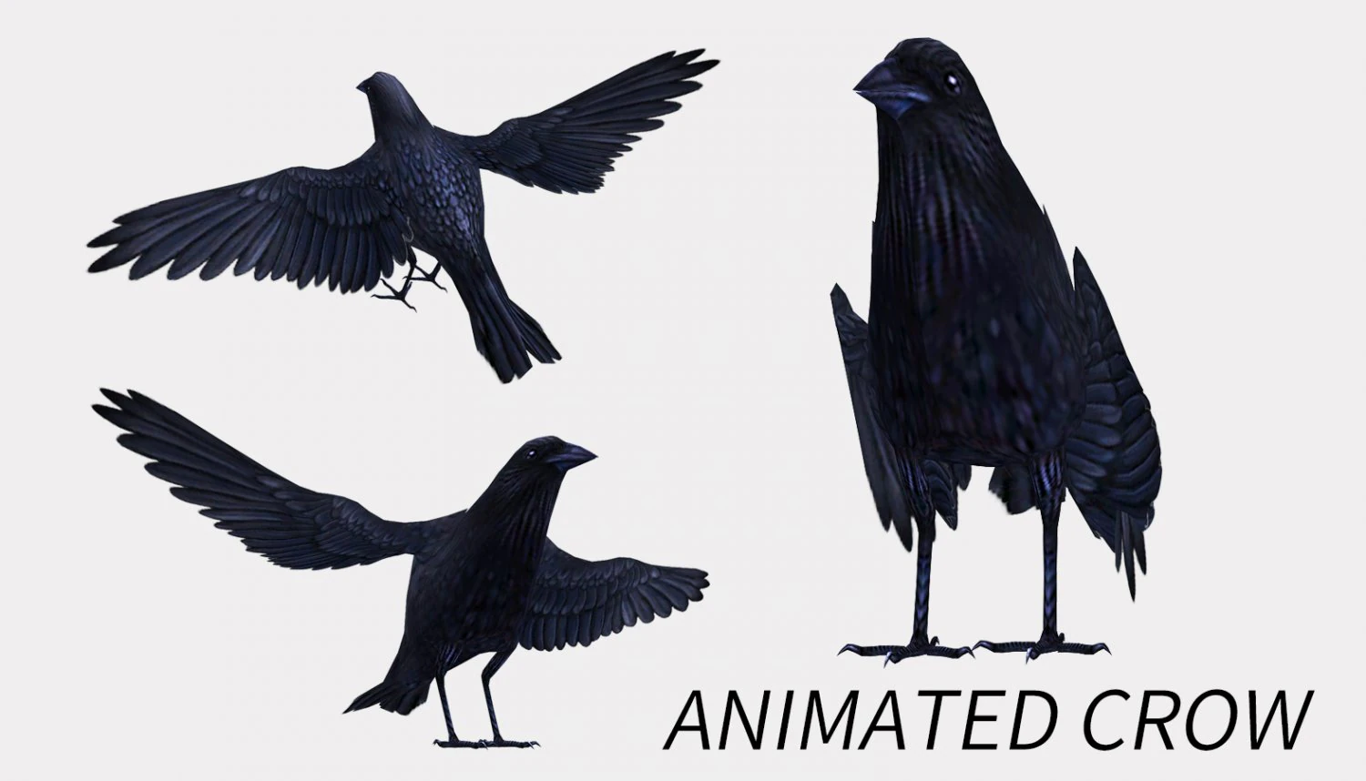 Animated low poly crow 3D Model .c4d .max .obj .3ds .fbx .stl .blend 