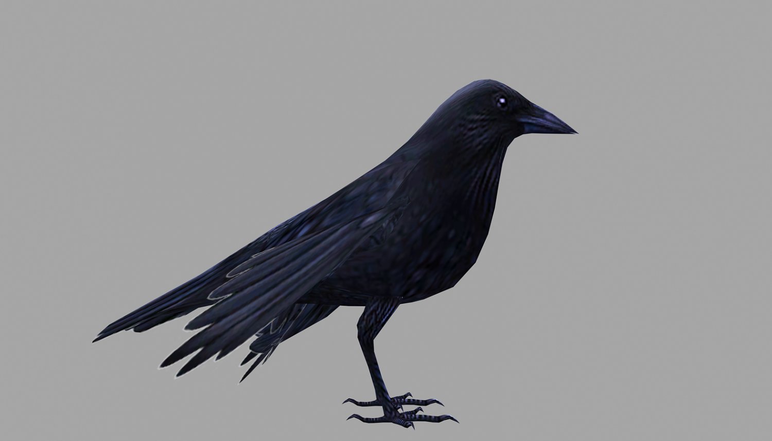 3d crow. 3д модель вороны. Low crow. Голова ворона. 3д модель ворон raven 3d model.