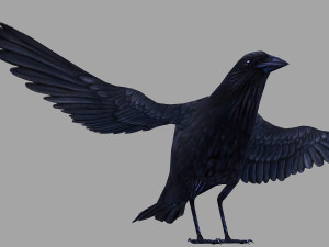 Animated low poly crow 3D 模型