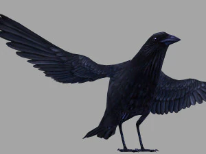 Animated low poly crow 3D Model