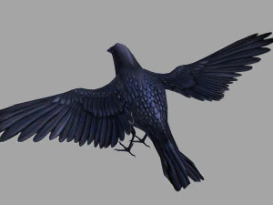 Animated low poly crow 3D Model