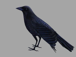 Animated low poly crow 3D Model