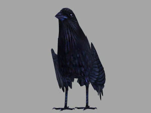 Animated low poly crow 3D Model