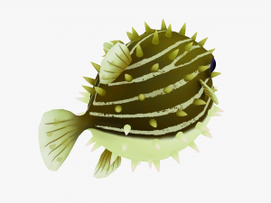 Animated pufferfish 3D Модель
