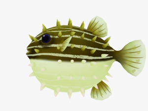 Animated pufferfish 3D Модель