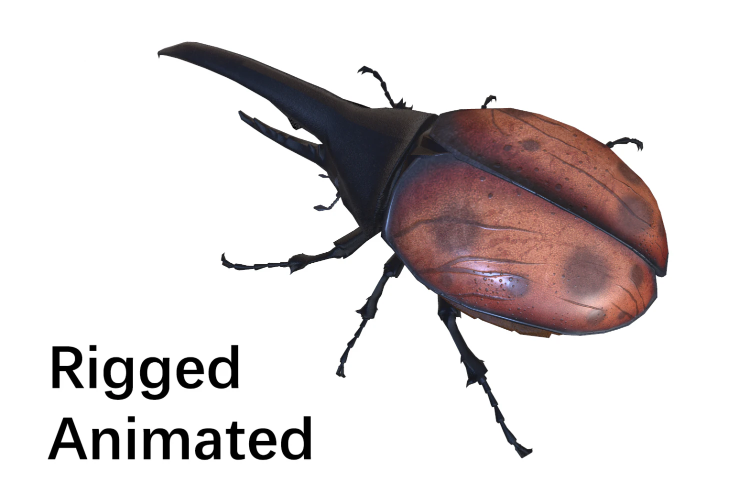 Beetle dynastes 3D Model .c4d .max .obj .3ds .fbx .stl .blend 