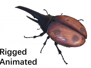 Beetle dynastes 3D Model