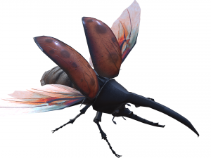 Beetle dynastes Modello 3D