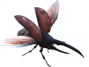 Beetle dynastes 3D Model