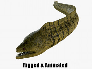 Aniamted Moray eel 3D-Modell