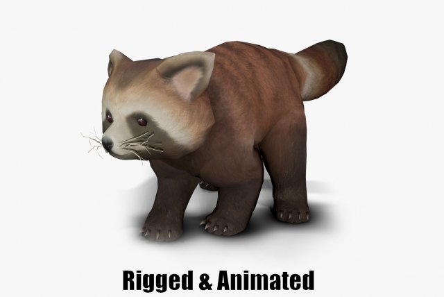 Aniamted red panda 3D Model .c4d .max .obj .3ds .fbx .stl .blend