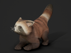 Aniamted red panda 3D Model