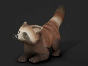 Aniamted red panda 3D Model
