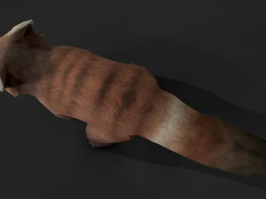 Aniamted red panda 3D Model
