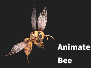Animated bee 3D Model