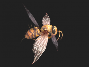 Animated bee Modelo 3D