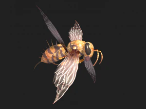Animated bee 3D Model