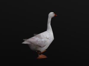 Low-poly animated duck 3D 모델