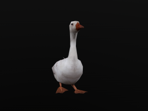 Low-poly animated duck 3D 모델