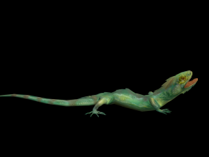 Low-poly animated lizard Model 3D