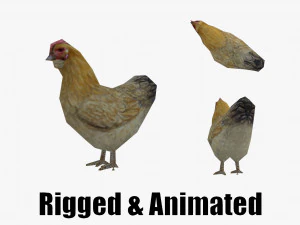 Frango animado low-poly Modelo 3D