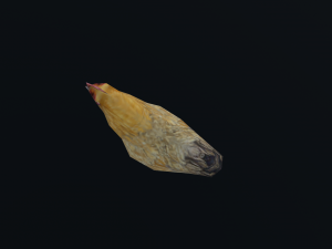 Low-poly animated chicken 3D Model