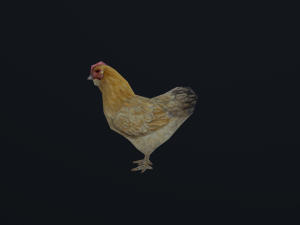 Low-poly animated chicken 3D Model