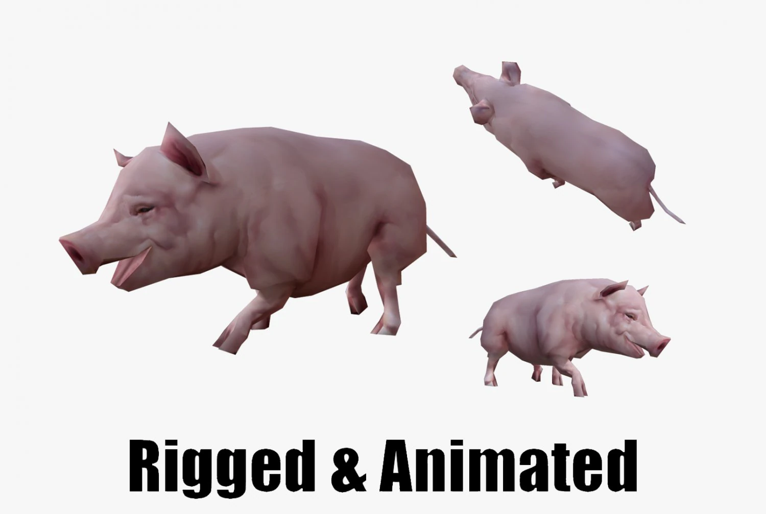 Low-poly animated pig 3D Model .c4d .max .obj .3ds .fbx .stl .blend 