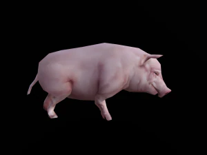 Low-poly animated pig 3D Model