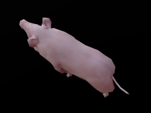 Low-poly animated pig 3D Model