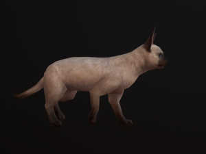 Animated siamese cat 3D Модель