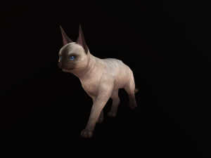 Animated siamese cat 3D Модель