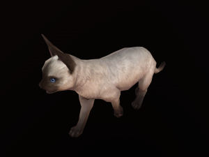 Animated siamese cat 3D Модель