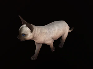 Animated siamese cat 3D Model