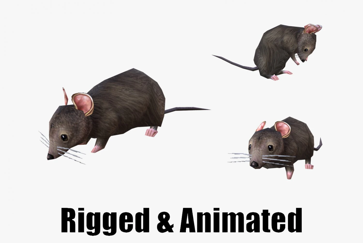 Low-poly animated mouse rat 3D Model .c4d .max .obj .3ds .fbx .stl .blend 
