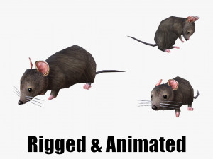 Low-poly animated mouse rat 3D Model