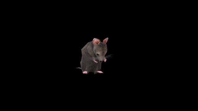 Low-poly animated mouse rat Low-poly 3D Model