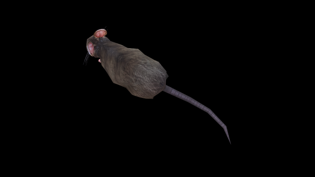 Low-poly animated mouse rat 3D Model in Kemirgen 3DExport