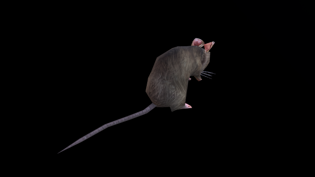 Low-poly animated mouse rat 3D Model in Kemirgen 3DExport
