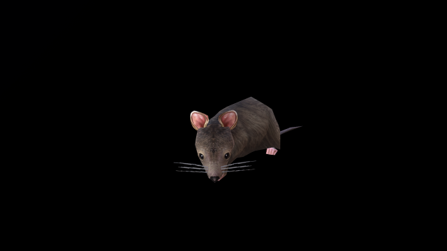 Low-poly animated mouse rat 3D Model in Kemirgen 3DExport