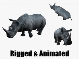 Low-poly animated rhinoceros rhino 3D 모델