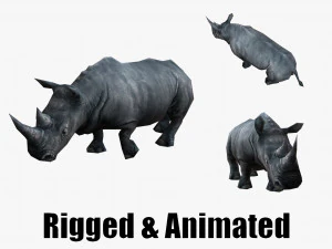 低聚动画犀牛犀牛 3D 模型