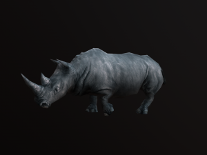 Low-poly animated rhinoceros rhino 3D 모델