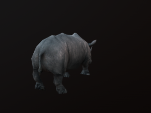 Low-poly animated rhinoceros rhino 3D 모델
