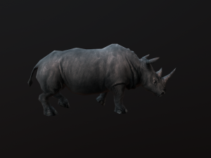 Low-poly animated rhinoceros rhino 3D 모델