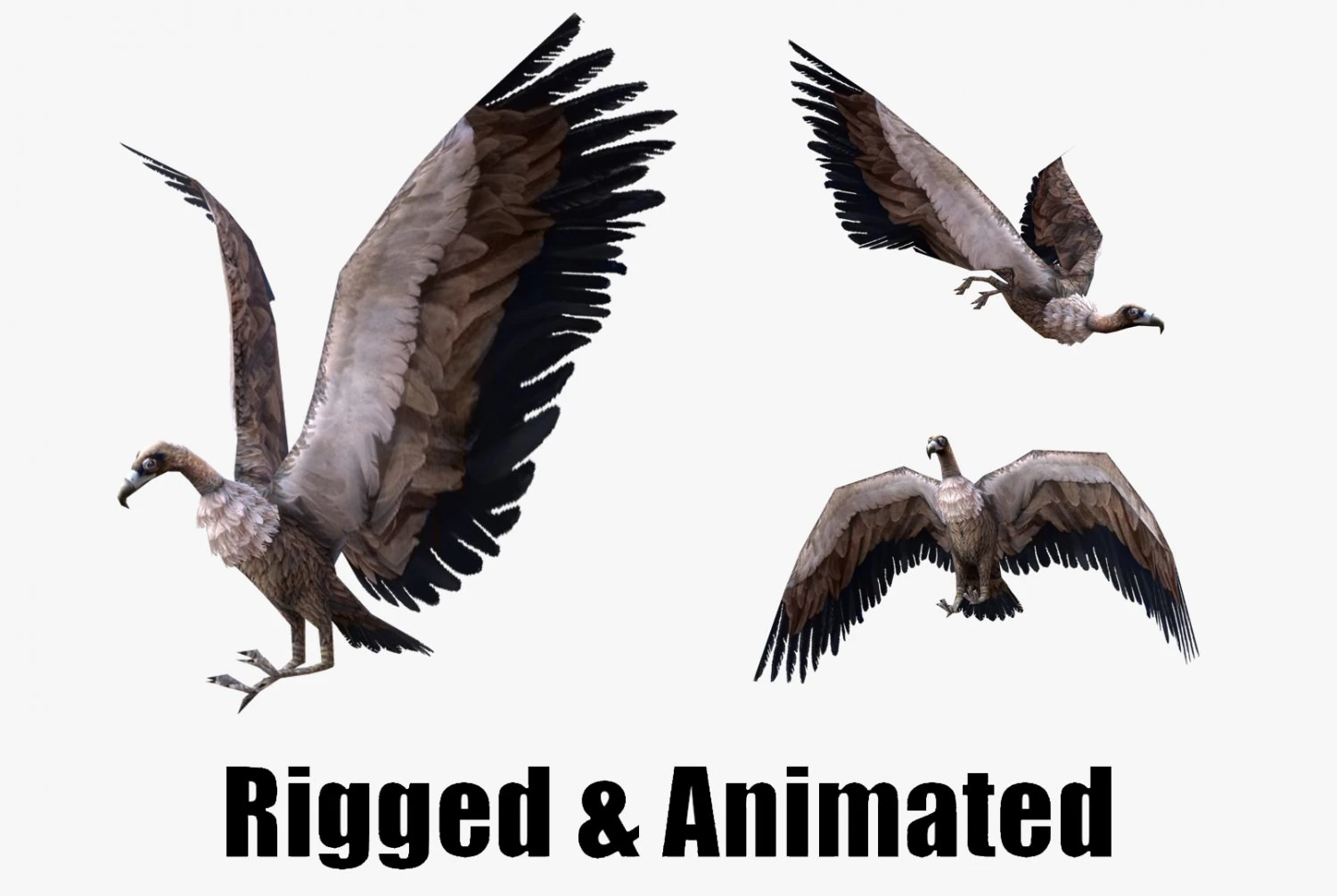 Low-poly animated vulture 3D Model .c4d .max .obj .3ds .fbx .stl .blend 